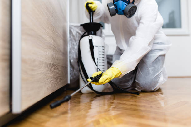 Best Mosquito Control Services  in Windsor Heights, IA