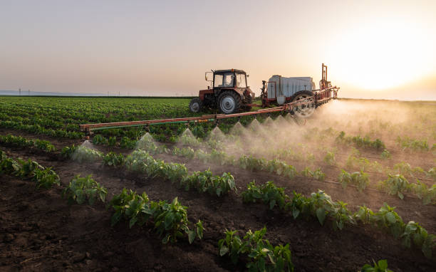 Professional Pest Control in Windsor Heights, IA