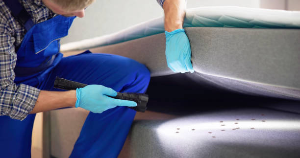 Best Emergency Pest Control  in Windsor Heights, IA