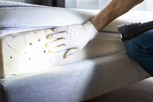 Best Best Pest Control Companies  in Windsor Heights, IA